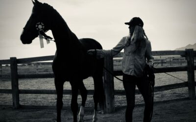 Finding An Exceptional Horse – Farentino and Laura’s story